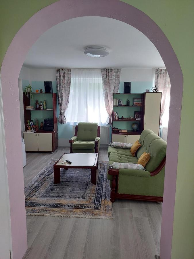 Apartman Nikola Apartment Rakovac Екстериор снимка